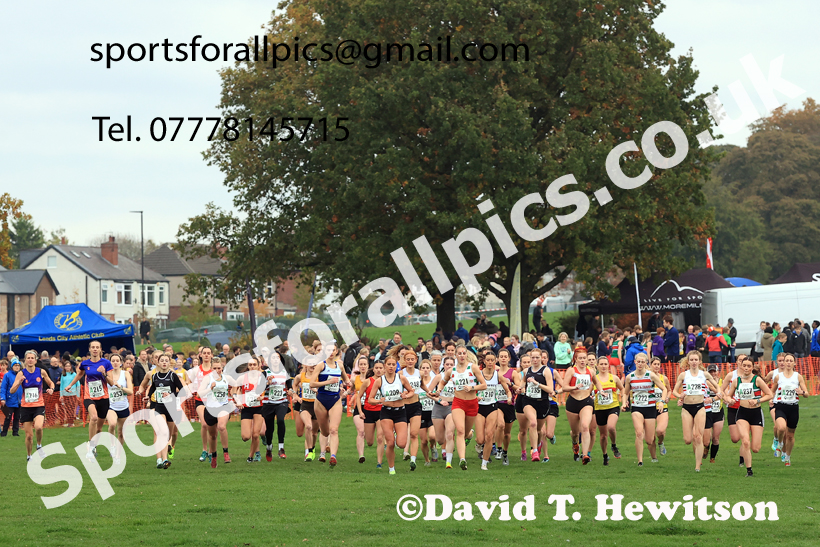 Senior Womens relay, 2025 Northern Cross Country Relays, Graves Park, Sheffield. Photo: David T. Hewitson/Sports for All Pics